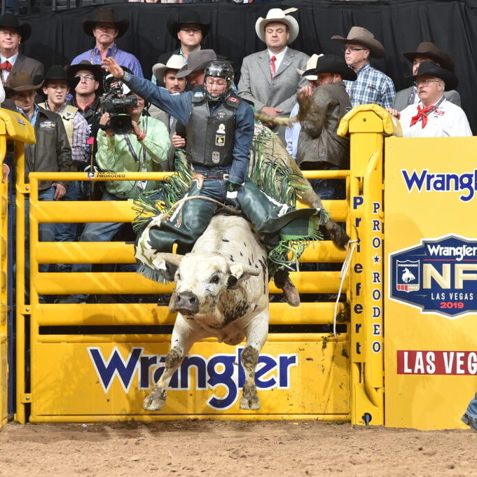 Barnes PRCA Rodeo bull 503 Pure Gangster and Jordan Hansen, WNFR 2019 Round 4