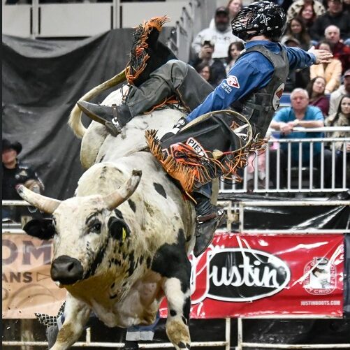 Jimmey Hoe bucks off Riggin Shippy in Bismarck ND_copyright PRCA Photographer Chuck Minor low res