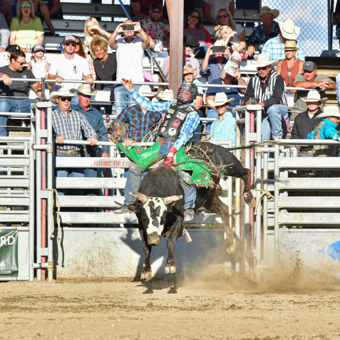 Josh Frost on JS ProRodeo bull Collateral Damage wins Red Lodge Xtreme Bulls. Image by photographer Laura Wright Story
