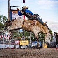 Shannon Warren matched up with JS horse Elk Horn to place in the 69th Buffalo PRCA Championship Rodeo in 2023.  Photograph by Beth Kujala