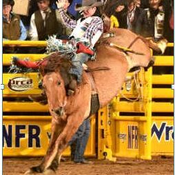 Tim OConnell 2016 World Champ_PRCA image