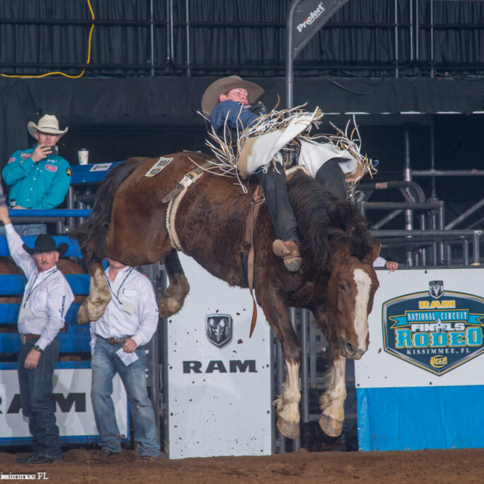 Wyatt Bloom on Hawley Falls at the 2017 RAM National Circuit Finals in Kississmee, Florida. Photo by Ric Andersen and PRCA