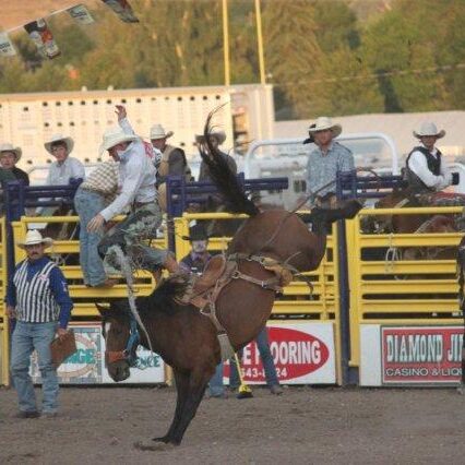 Missoula Stampede Rodeo image by Gretchen Kirchmann